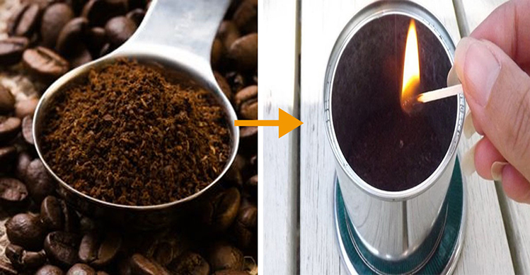 7 cách đuổi muỗi tự nhiên trong mùa hè